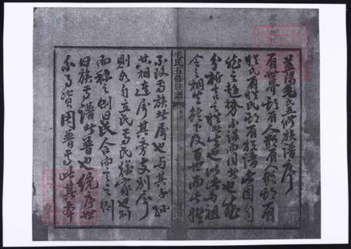 湖南省益阳市毛氏族谱-毛氏族谱.pdf电子版预览图2