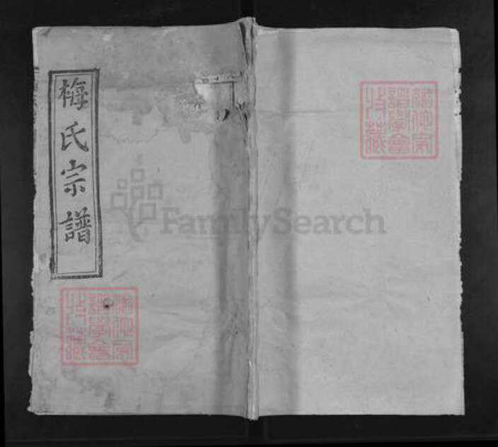 湖北省武汉市新洲区梅氏双桂堂族谱-梅氏宗谱.pdf电子版缩略图