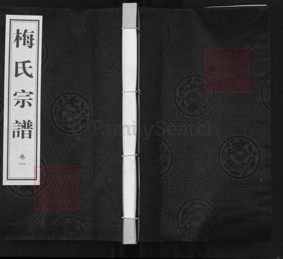 江苏省无锡市江阴市临港街道梅氏映雪堂族谱-梅氏宗谱.pdf电子版缩略图