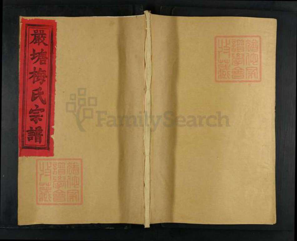 福建省三明市建宁县溪口镇梅氏族谱-严塘梅氏宗谱.pdf电子版缩略图