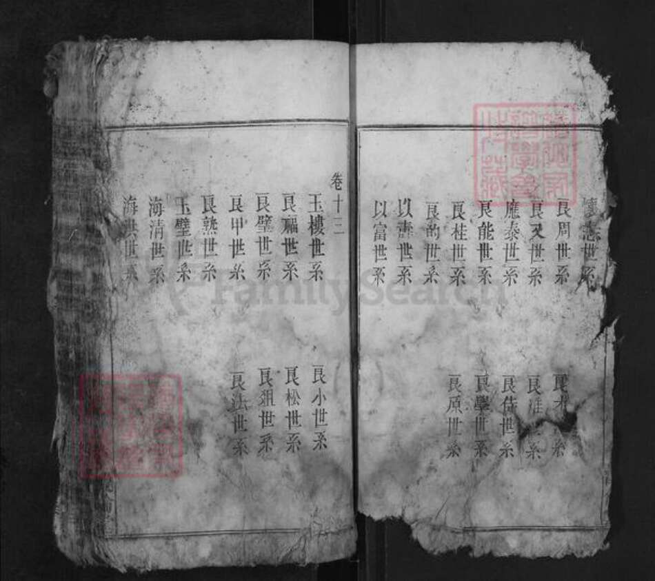 安徽省安庆市宿松县陈汉乡梅氏敦伦堂族谱-梅氏宗谱.pdf电子版预览图2