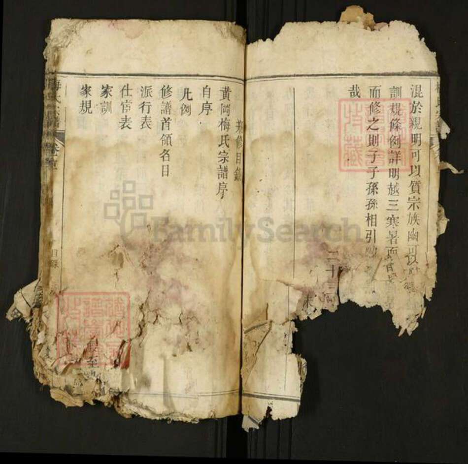 湖北省黄冈市梅氏族谱-梅氏宗谱[6卷首2卷].pdf电子版预览图4