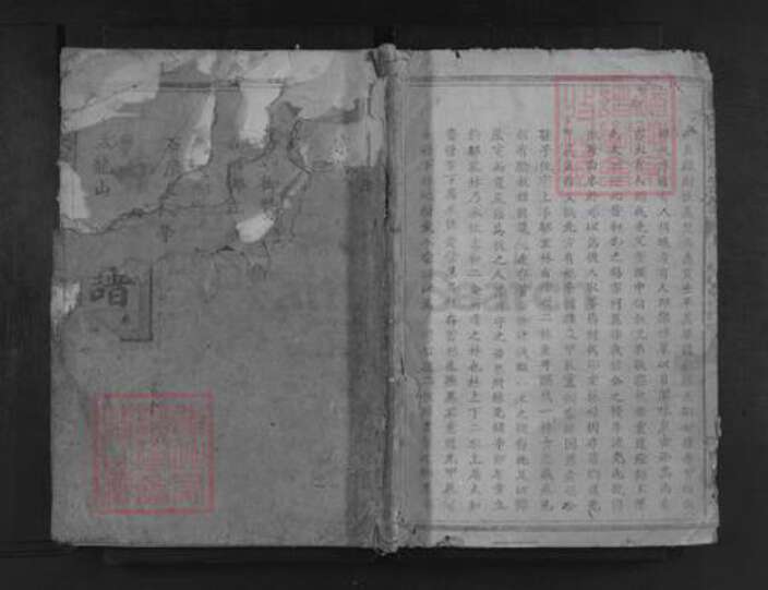 湖北省黄石市阳新县兴国镇孟氏仁义堂族谱-孟氏大成宗谱.pdf电子版缩略图