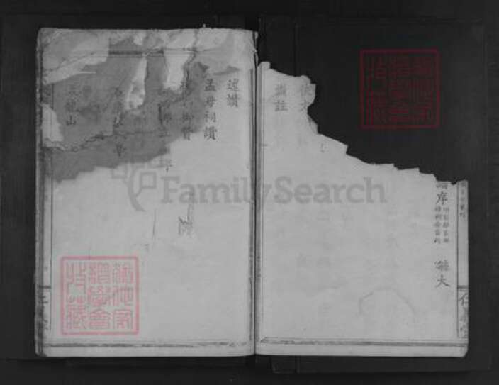 湖北省黄石市阳新县兴国镇孟氏仁义堂族谱-孟氏大成宗谱.pdf电子版预览图4