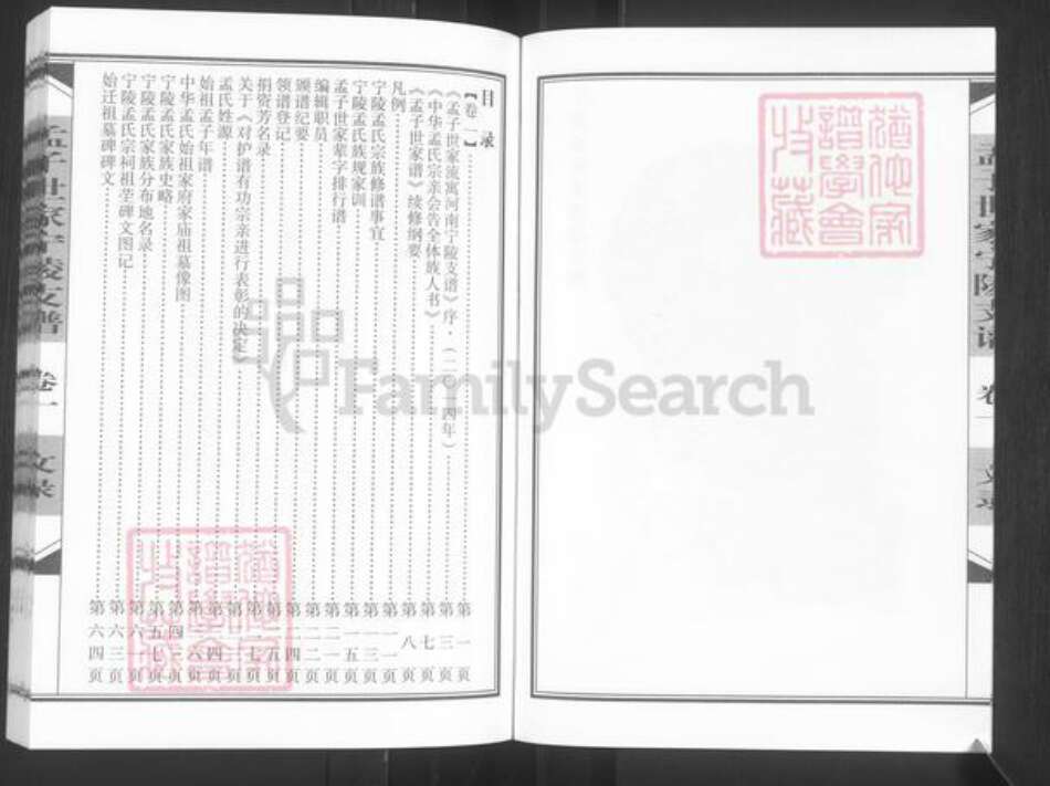 河南省商丘市宁陵县孟氏族谱-孟子世家流寓河南宁陵支谱.pdf电子版预览图5