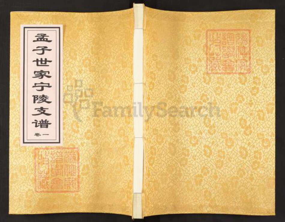 河南省商丘市宁陵县孟氏族谱-孟子世家流寓河南宁陵支谱.pdf电子版缩略图