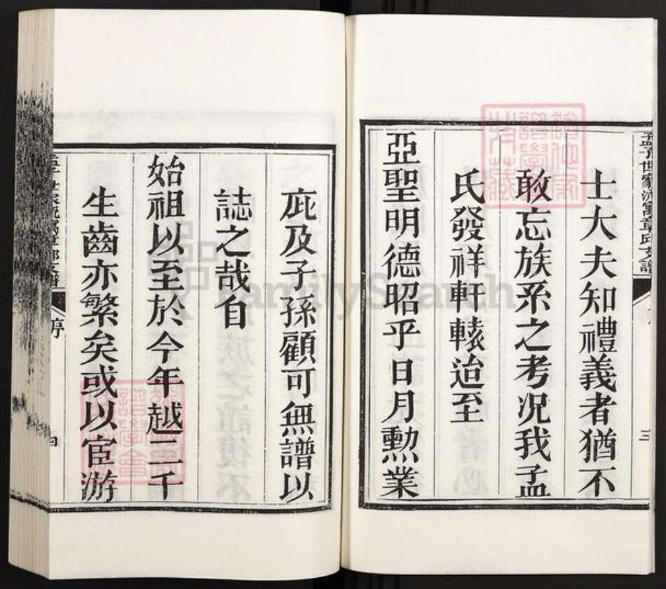 山东省济南市章丘区孟氏族谱-孟子世家流寓章邱支谱.pdf电子版预览图5