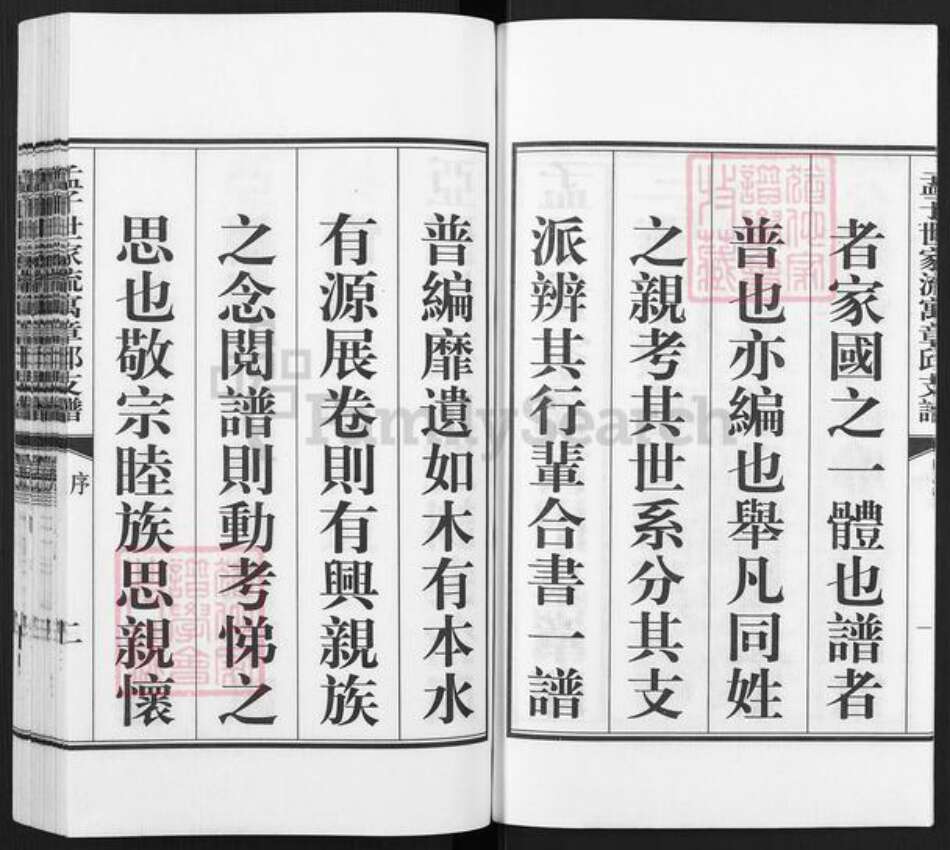 山东省济南市章丘区孟氏族谱-孟子世家流寓章邱旧军支谱.pdf电子版预览图3
