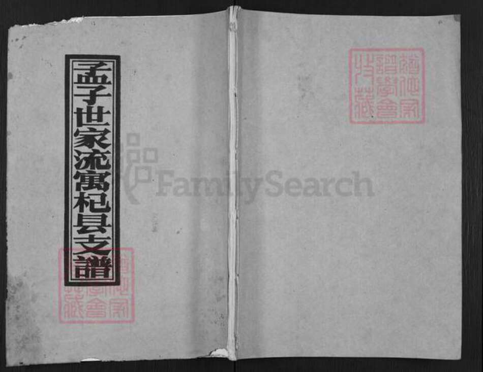 河南省开封市杞县沙沃乡孟氏族谱-孟子世家流寓杞县支谱.pdf电子版缩略图