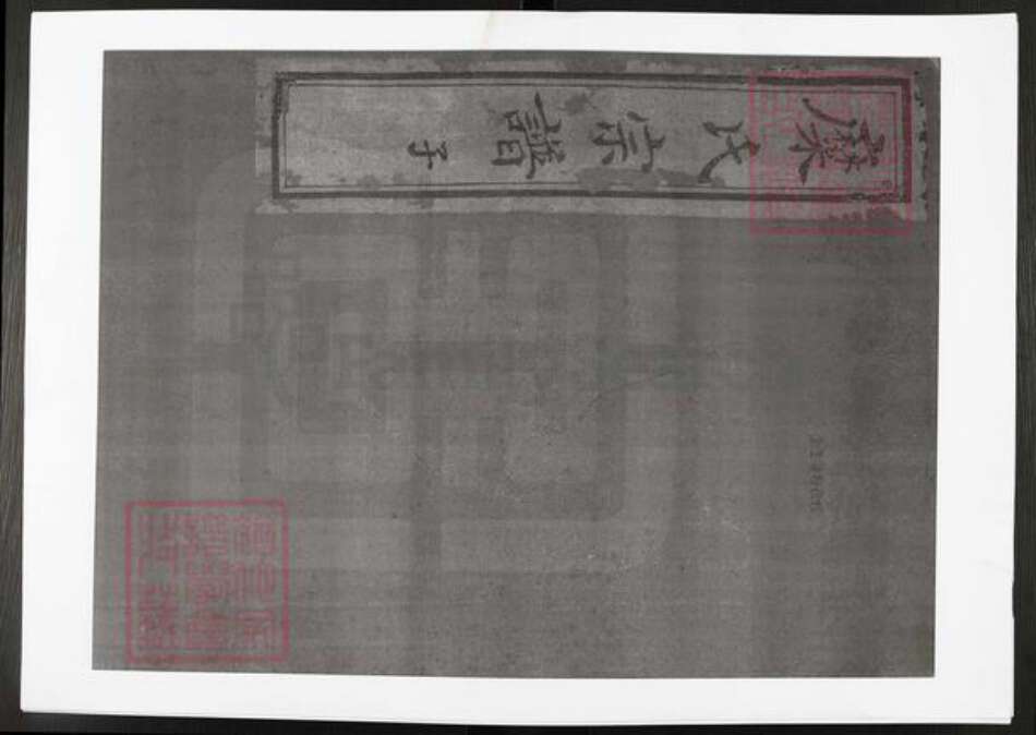 江苏省常州市武进县糜氏宜振堂族谱-糜氏宗谱.pdf电子版
