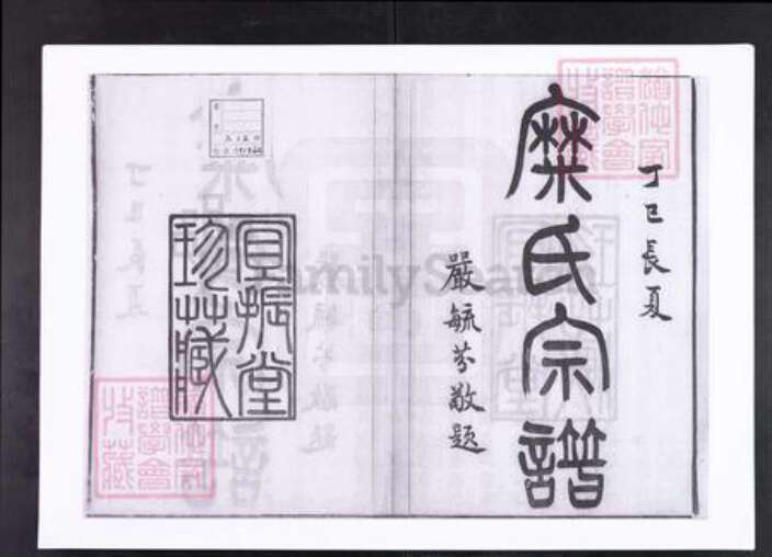 江苏省无锡市宜兴市江苏省无锡市宜兴市糜氏宜振堂族谱-糜氏宗谱.pdf电子版预览图1