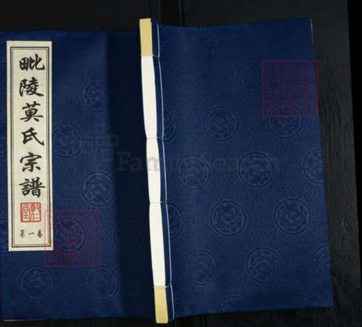 江苏省常州市天宁区郑陆镇莫氏敦仁堂族谱-毗陵莫氏宗谱.pdf电子版缩略图