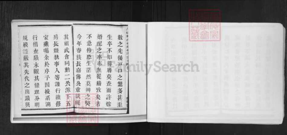 浙江省杭州市萧山区萧山倪氏勤乐堂族谱-古越萧邑桃源倪氏宗谱.pdf电子版预览图3