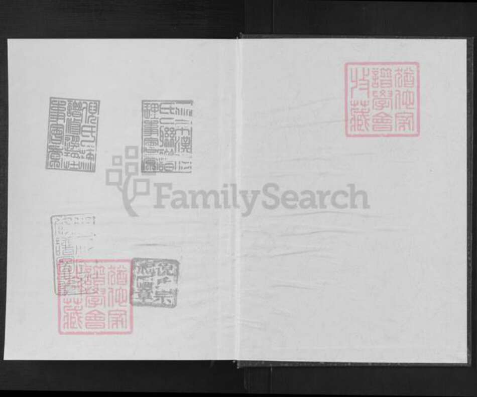 湖北省天门市竟陵街道倪氏族谱-倪氏族谱.pdf电子版预览图1