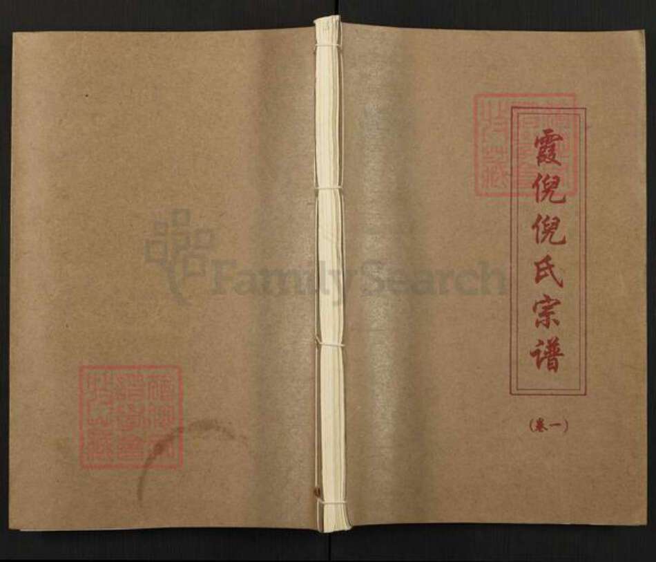 福建省福州市永泰县倪氏思亲堂族谱-霞倪倪氏宗谱.pdf电子版缩略图