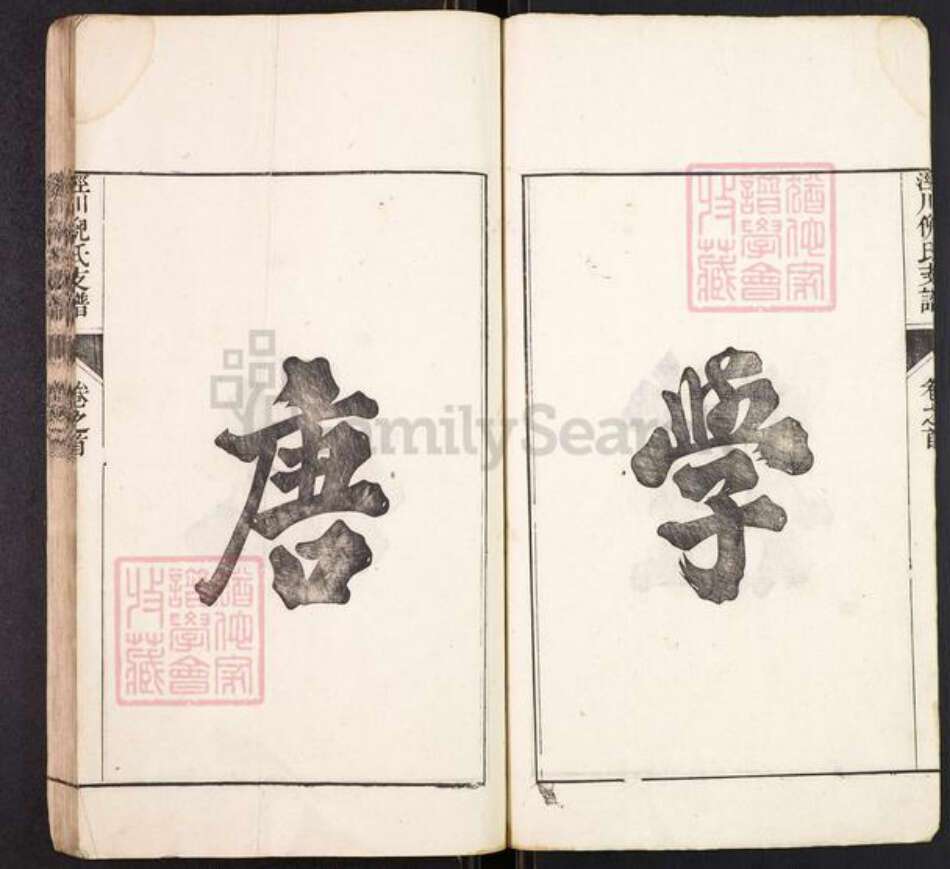 安徽省宣城市泾县泾川镇倪氏族谱-泾川倪氏支谱.pdf电子版预览图5