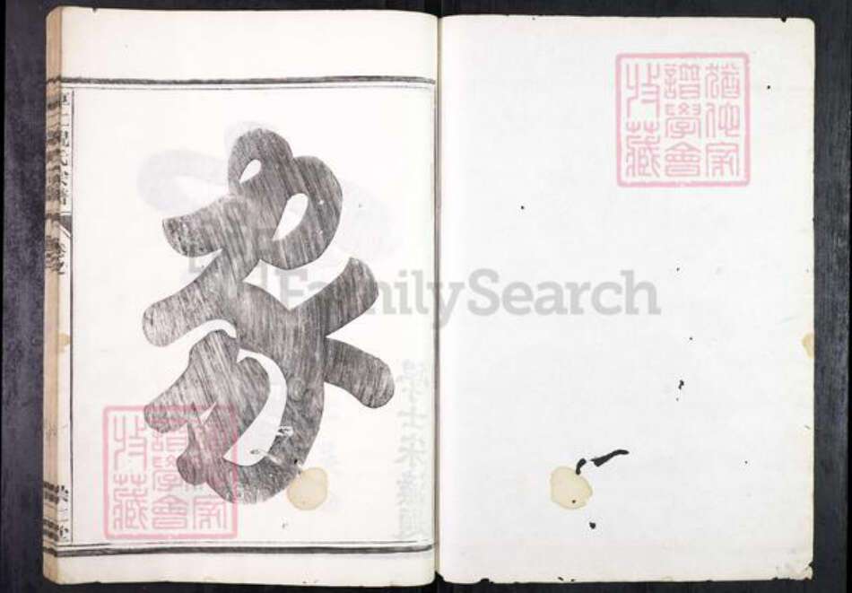 浙江省金华市兰溪市兰江街道倪氏崇仁堂族谱-厚仁倪氏宗谱.pdf电子版预览图1