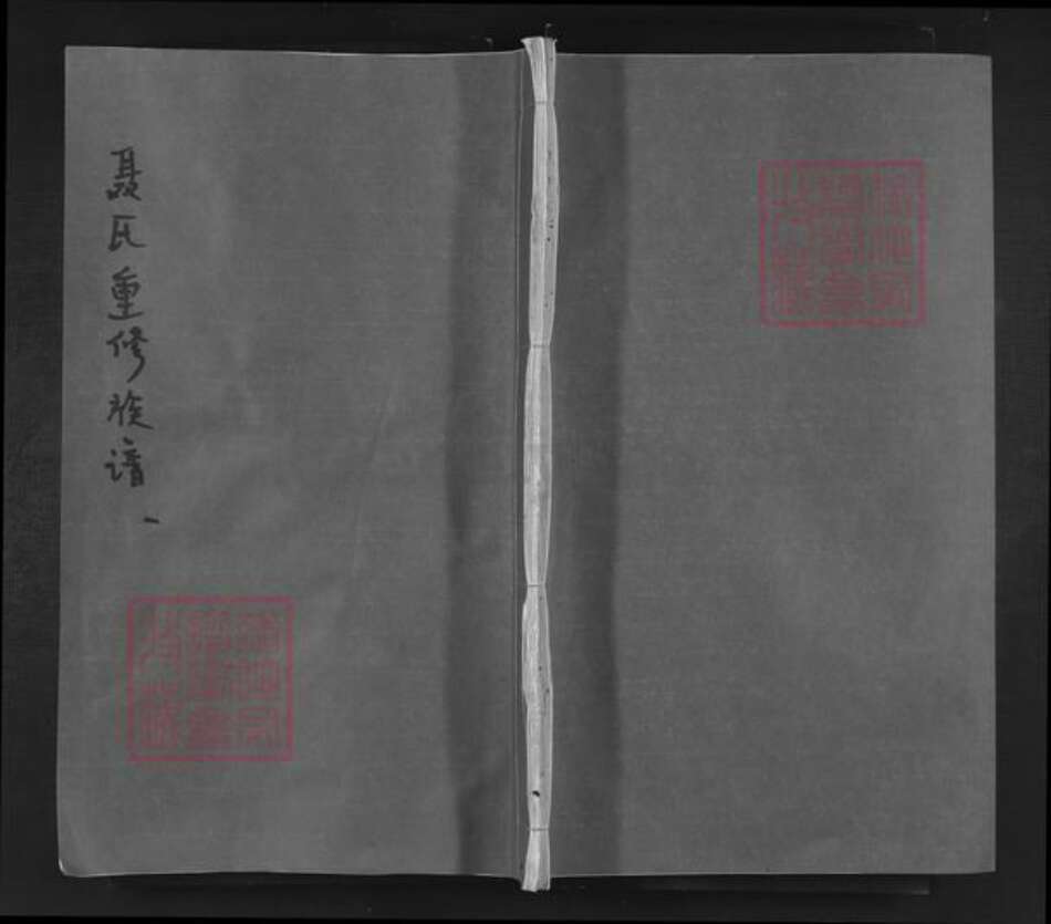 福建省南平市建阳区水吉镇聂氏族谱-聂氏重修族谱.pdf电子版缩略图