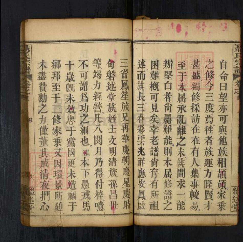 湖北省武汉市新洲区聂氏族谱-聂氏宗谱[15卷首4卷].pdf电子版预览图2