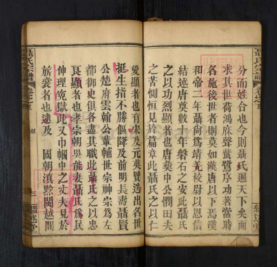 湖北省武汉市新洲区聂氏族谱-聂氏宗谱[15卷首4卷].pdf电子版预览图5