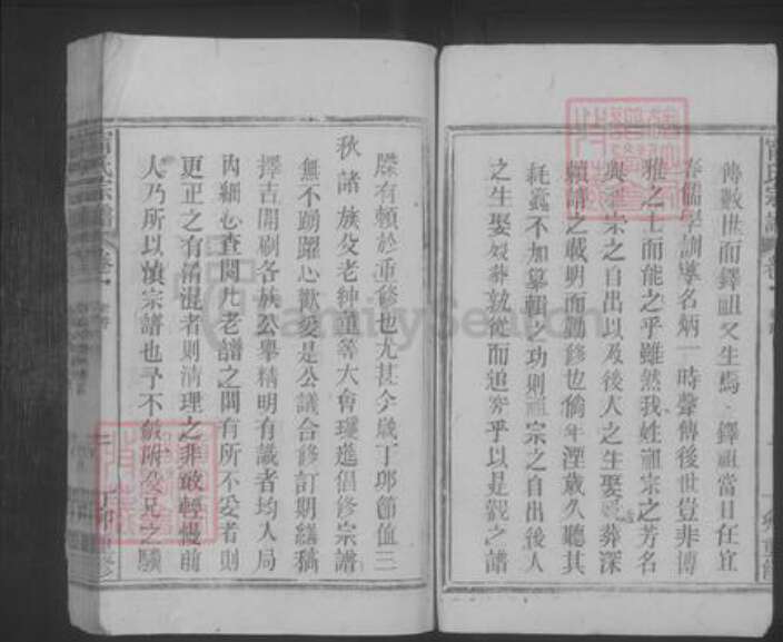 江西省九江市彭泽县宁氏族谱-宁氏宗谱 [5卷].pdf电子版预览图5