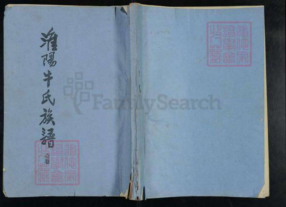 河南省周口市淮阳区牛氏族谱-淮阳牛氏族谱.pdf电子版