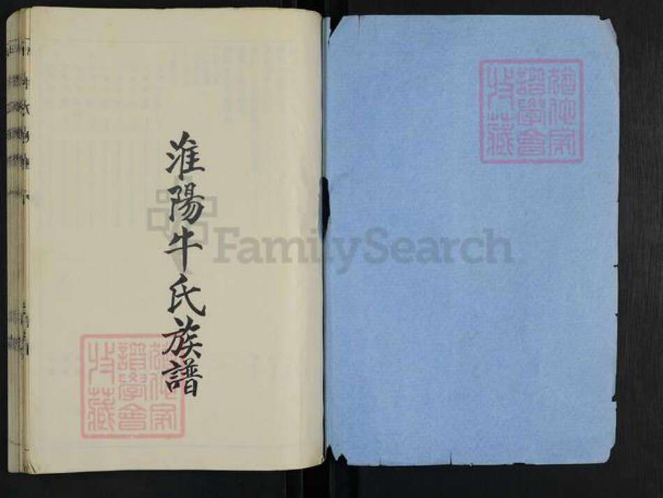 河南省周口市淮阳区牛氏族谱-淮阳牛氏族谱.pdf电子版预览图1