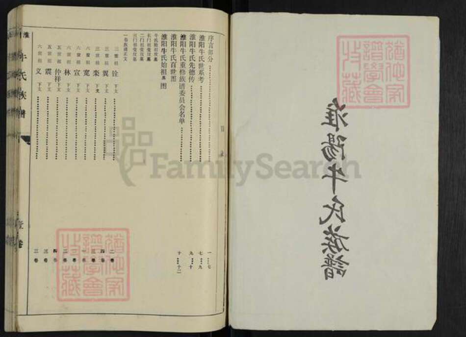 河南省周口市淮阳区牛氏族谱-淮阳牛氏族谱.pdf电子版预览图2