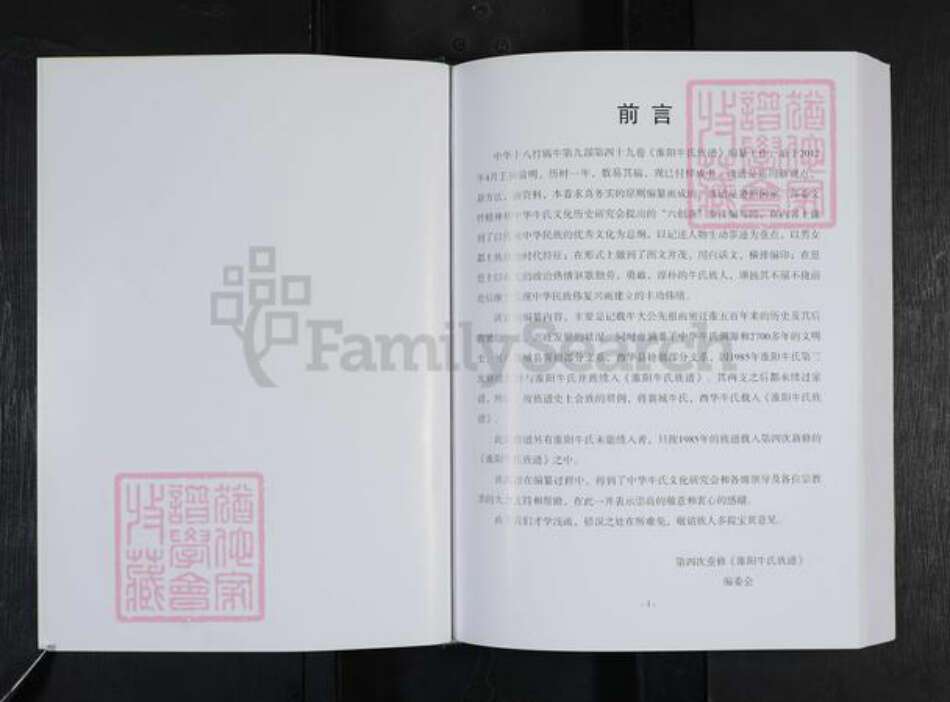 河南省周口市淮阳区新站镇牛氏族谱-淮阳牛氏族谱.pdf电子版预览图3
