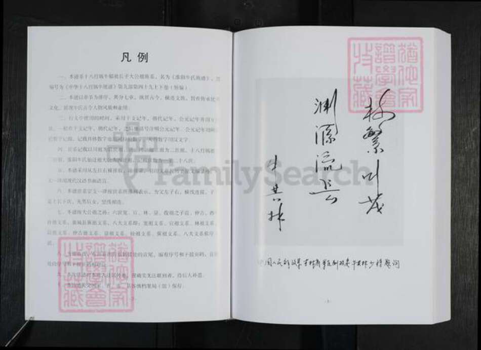 河南省周口市淮阳区新站镇牛氏族谱-淮阳牛氏族谱.pdf电子版预览图4