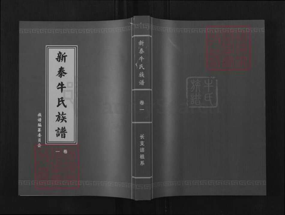 山东省泰安市宁阳县牛氏族谱-新泰牛氏族谱.pdf电子版
