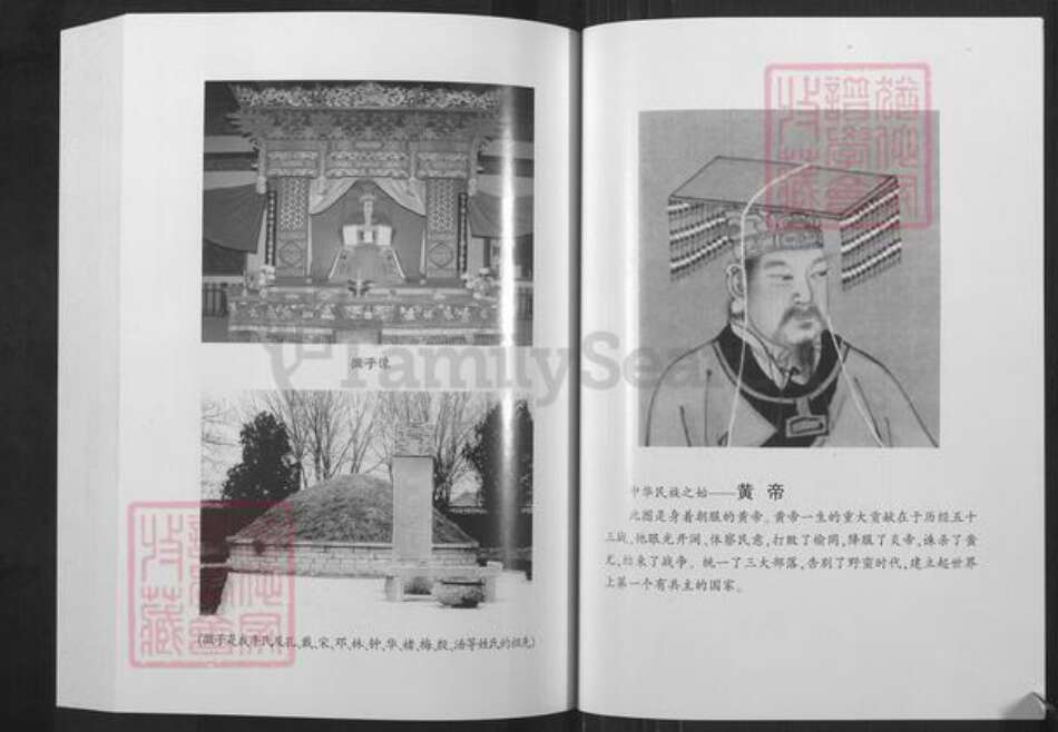 山东省泰安市宁阳县牛氏族谱-新泰牛氏族谱.pdf电子版预览图3