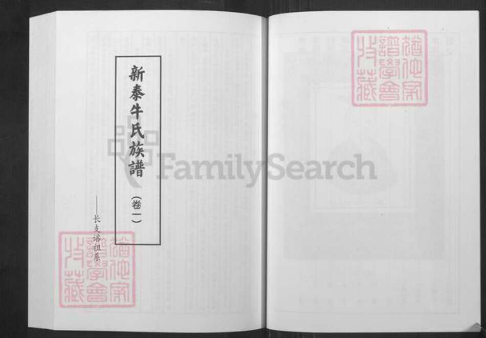 山东省泰安市宁阳县牛氏族谱-新泰牛氏族谱.pdf电子版预览图5