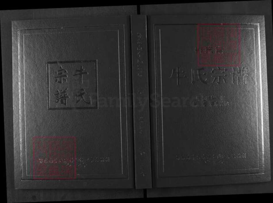 湖北省武汉市新洲区牛氏崇伦堂族谱-鄂东南牛氏宗谱.pdf电子版