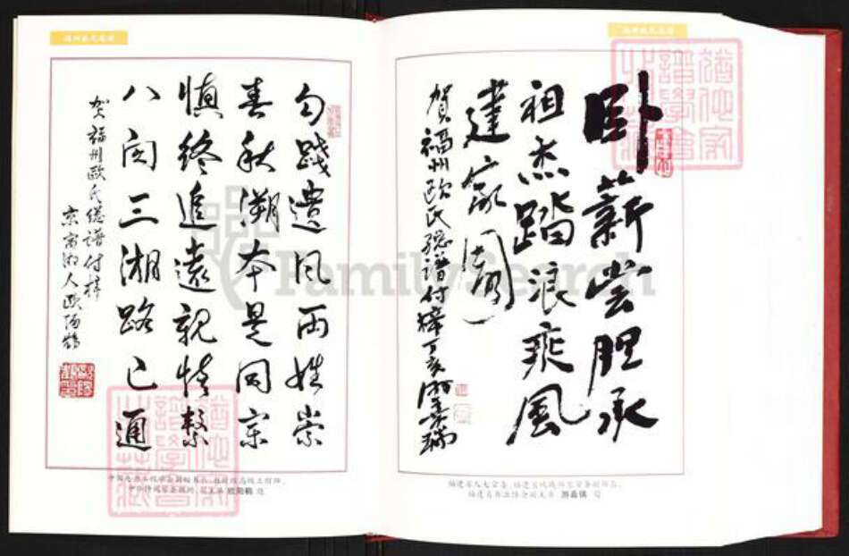 福建省福州市连江县东岱镇欧氏族谱-福州欧氏总谱.pdf电子版预览图4