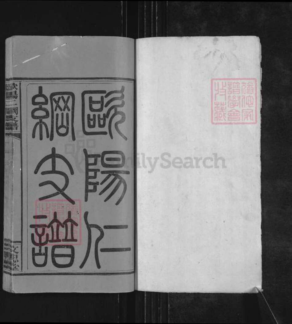 江西省萍乡市莲花县神泉乡欧阳氏文忠堂族谱-欧阳仁纲支谱.pdf电子版预览图1