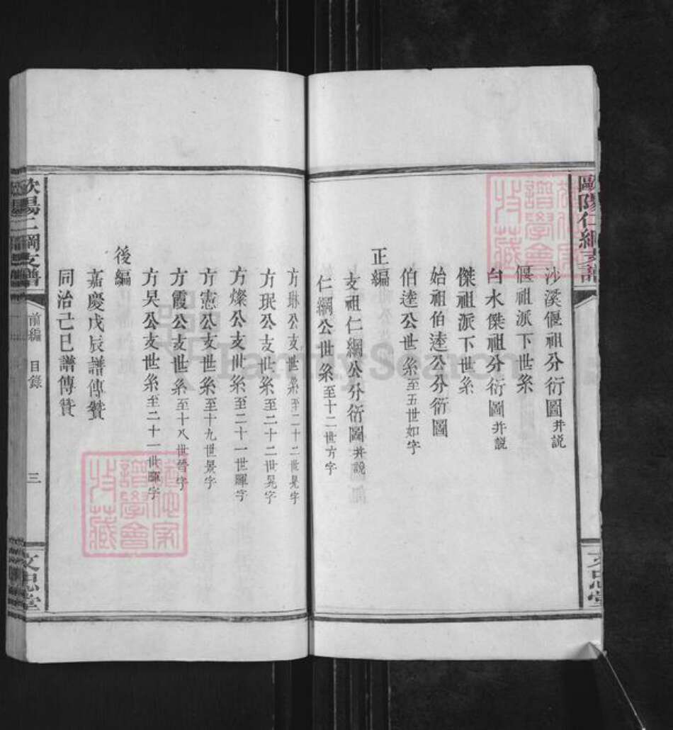 江西省萍乡市莲花县神泉乡欧阳氏文忠堂族谱-欧阳仁纲支谱.pdf电子版预览图4