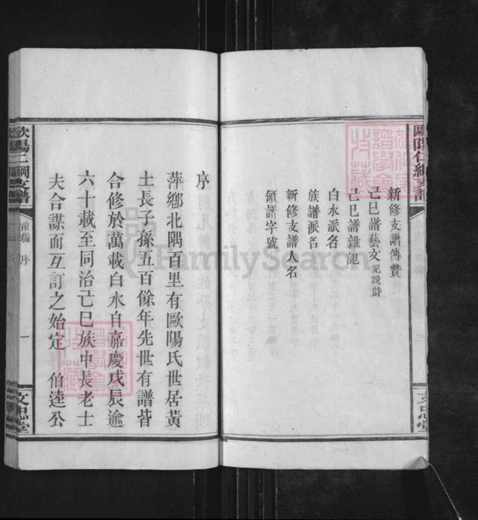 江西省萍乡市莲花县神泉乡欧阳氏文忠堂族谱-欧阳仁纲支谱.pdf电子版预览图5