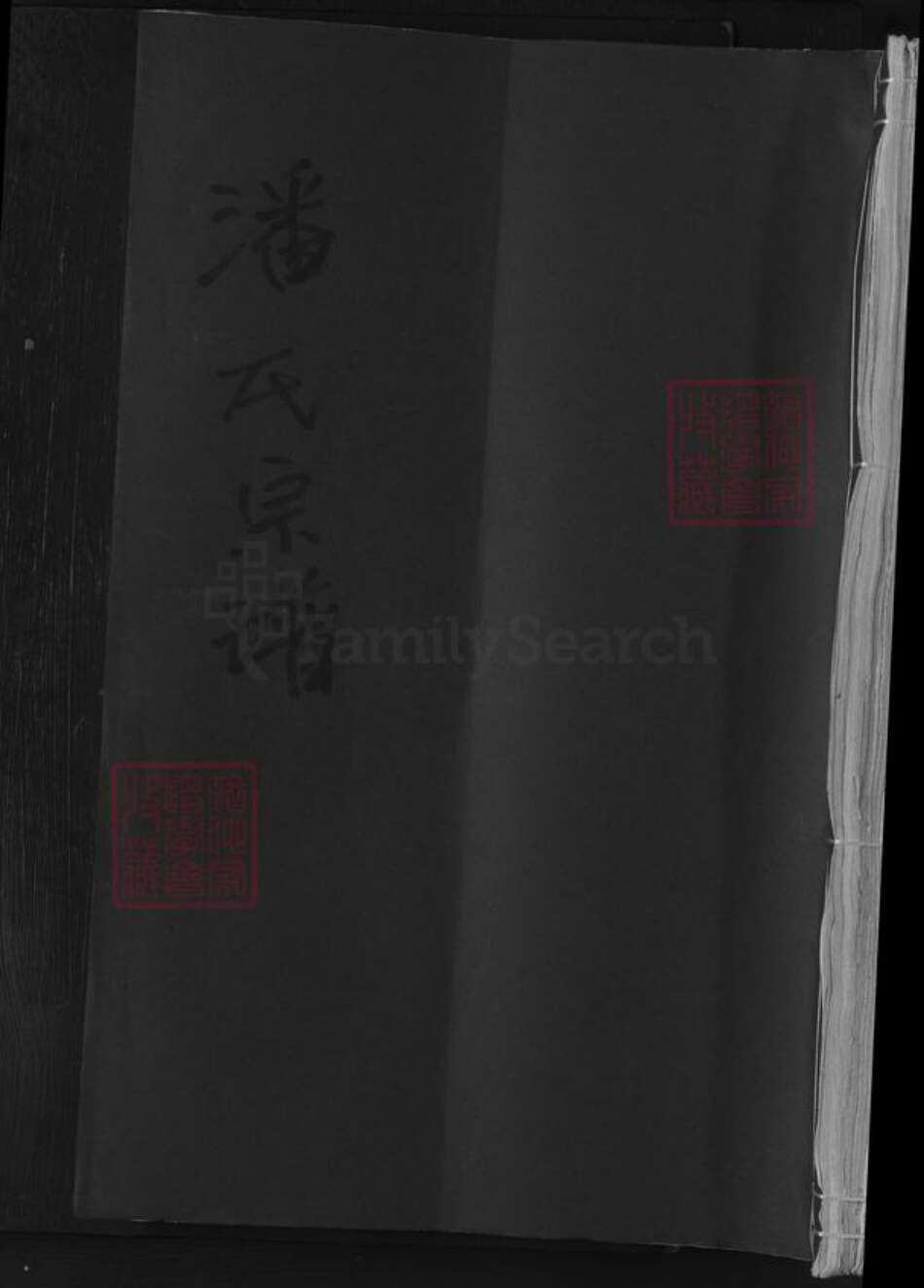 湖北省黄石市阳新县潘氏族谱-潘氏宗谱.pdf电子版缩略图