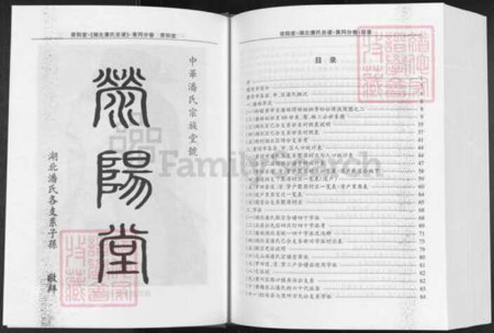 湖北省黄冈市潘氏荥阳堂族谱-湖北潘氏总谱.黄岗分卷.pdf电子版预览图3