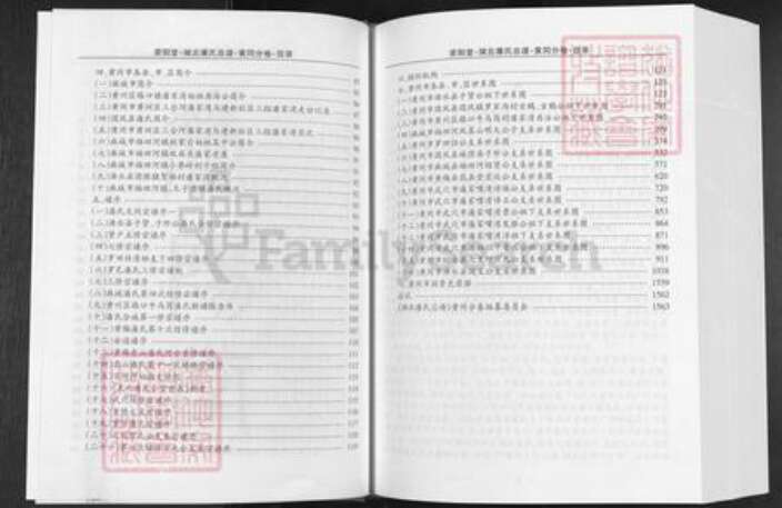 湖北省黄冈市潘氏荥阳堂族谱-湖北潘氏总谱.黄岗分卷.pdf电子版预览图4