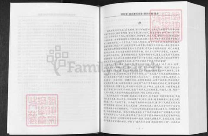 湖北省黄冈市潘氏荥阳堂族谱-湖北潘氏总谱.黄岗分卷.pdf电子版预览图5