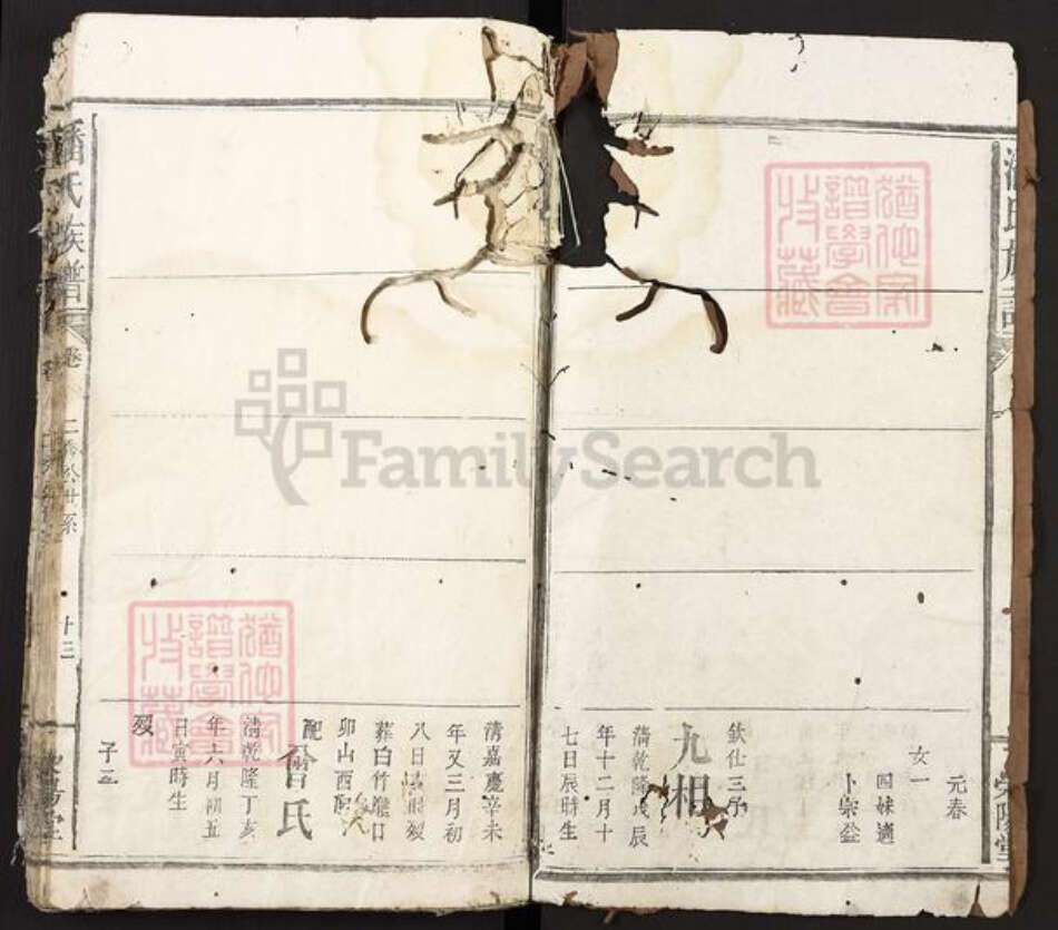 江西省宜春市袁州区潘氏荣阳堂族谱-潘氏宗谱.pdf电子版预览图2