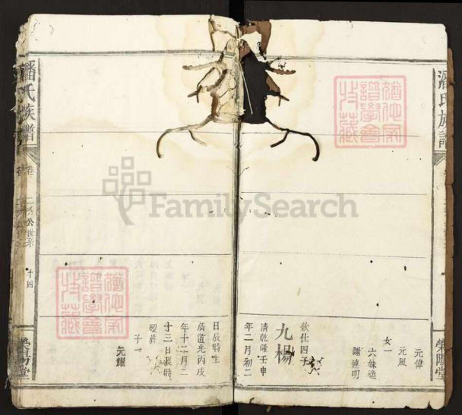 江西省宜春市袁州区潘氏荣阳堂族谱-潘氏宗谱.pdf电子版预览图3