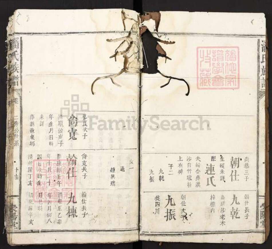 江西省宜春市袁州区潘氏荣阳堂族谱-潘氏宗谱.pdf电子版预览图4