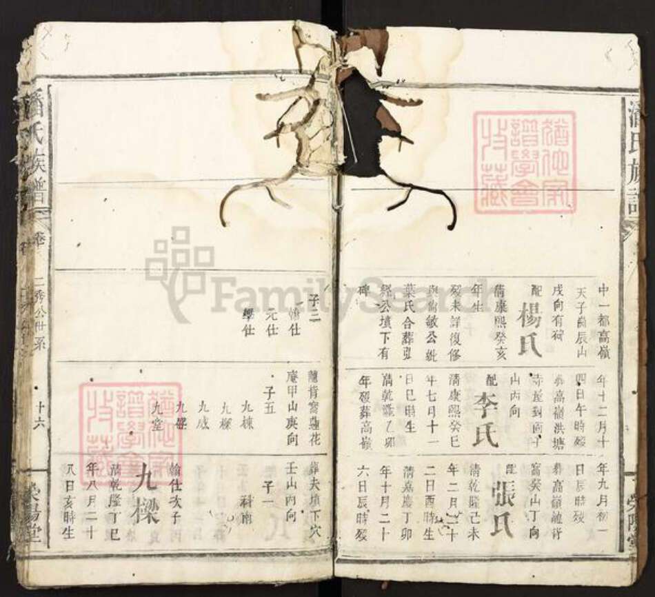 江西省宜春市袁州区潘氏荣阳堂族谱-潘氏宗谱.pdf电子版预览图5