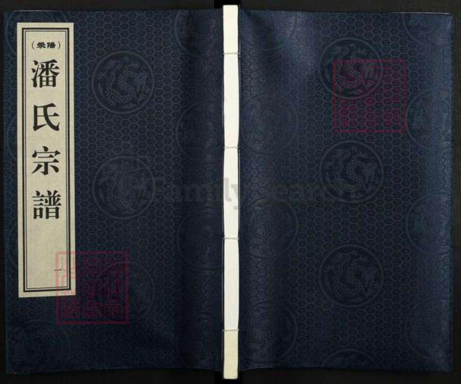 安徽省合肥市庐江县潘氏簪笏堂族谱-潘氏宗谱.pdf电子版缩略图