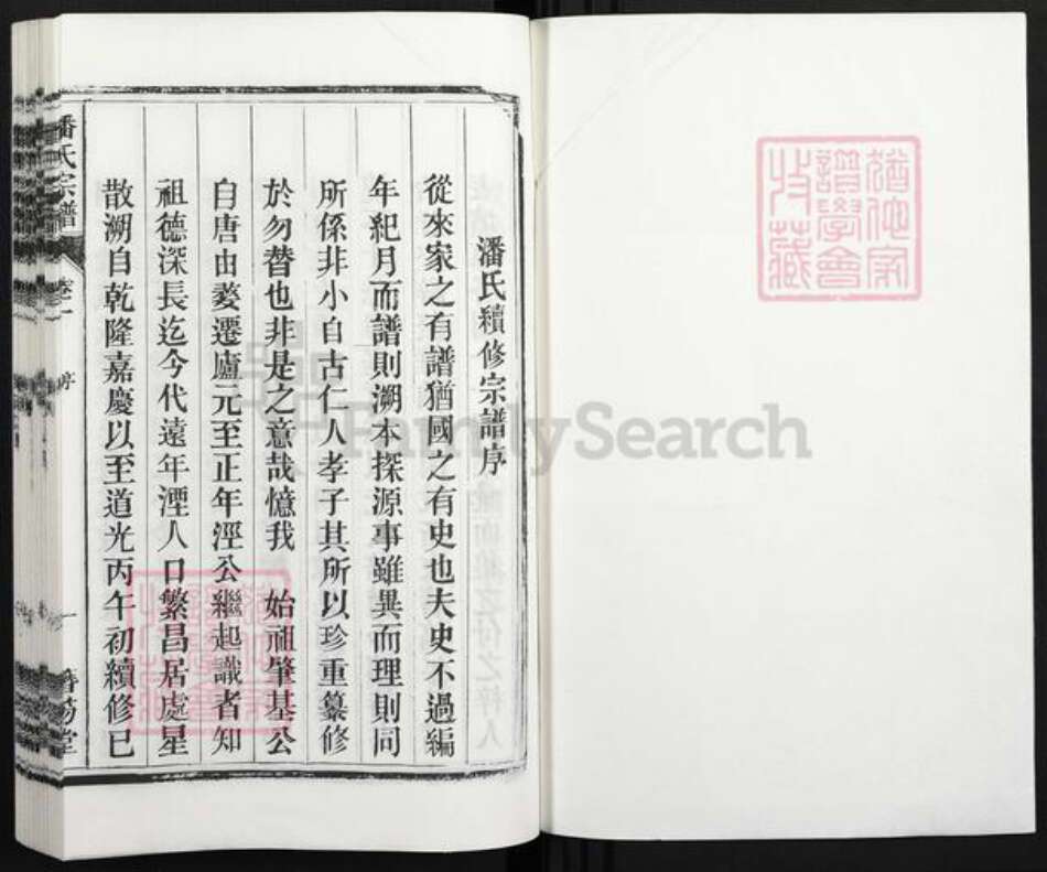 安徽省合肥市庐江县潘氏簪笏堂族谱-潘氏宗谱.pdf电子版预览图1