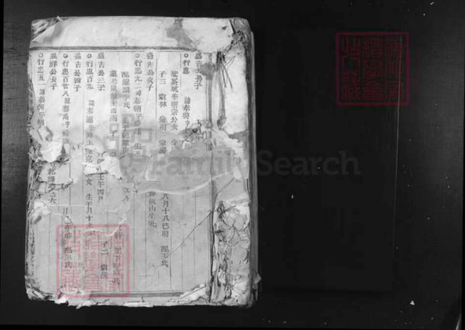 河南省郑州市荥阳市潘氏族谱-荥阳郡潘氏宗谱.pdf电子版预览图1