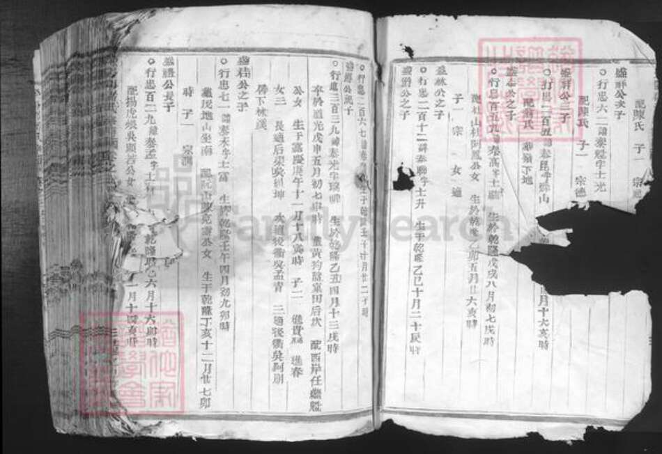 河南省郑州市荥阳市潘氏族谱-荥阳郡潘氏宗谱.pdf电子版预览图2